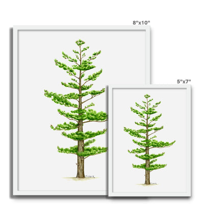 White Pine Framed Photo Tile