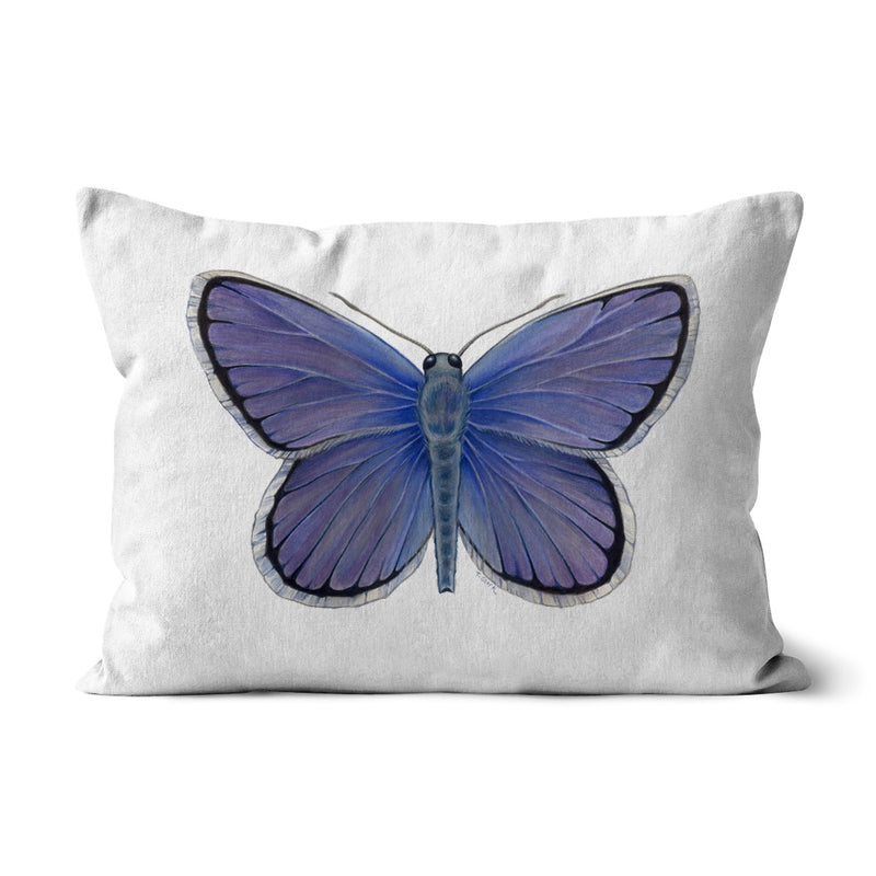 Karner Blue Butterfly Cushion