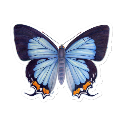 Imperial Blue Butterfly Sticker