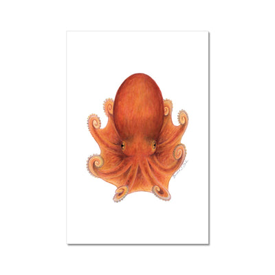 Northern Octopus Fine Art Print