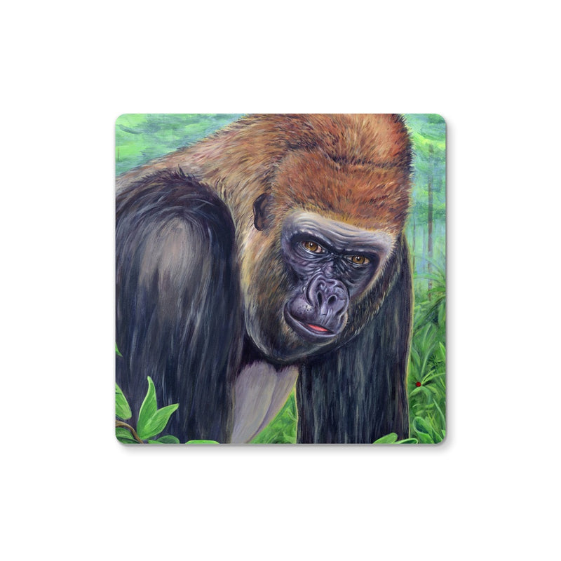Gorilla gorilla  Coaster