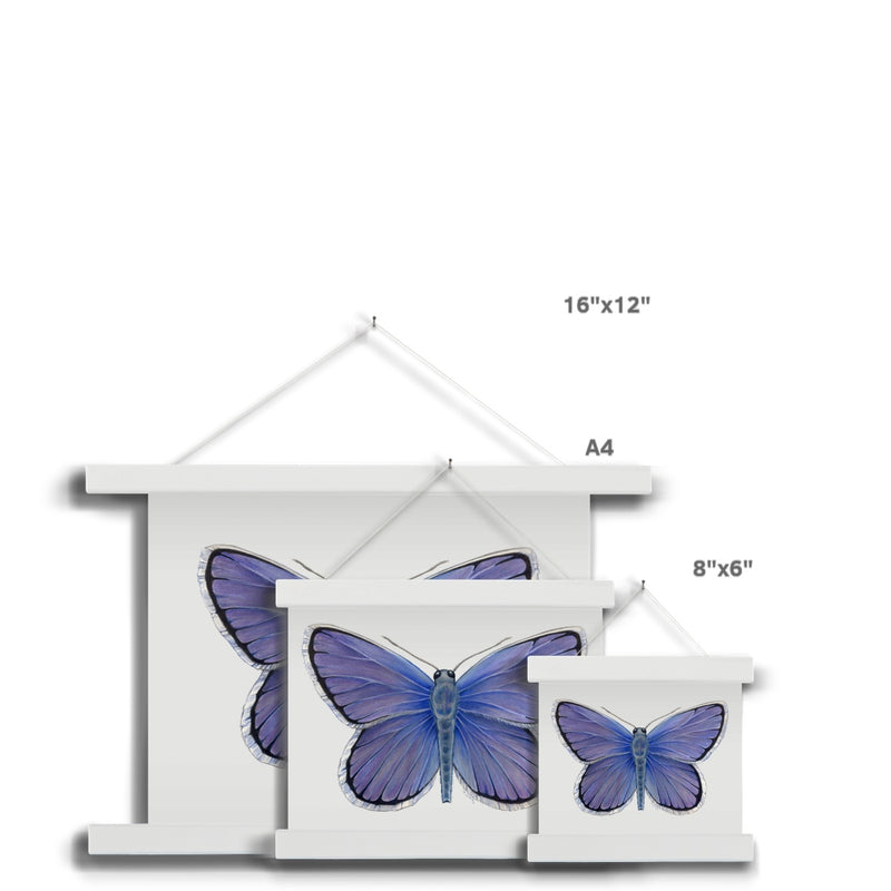 Karner Blue Butterfly Fine Art Print with Hanger
