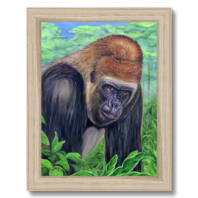 Gorilla gorilla  Framed Print