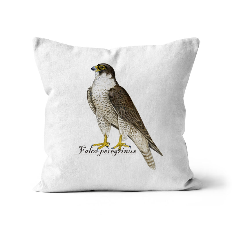 Peregrine Falcon Cushion