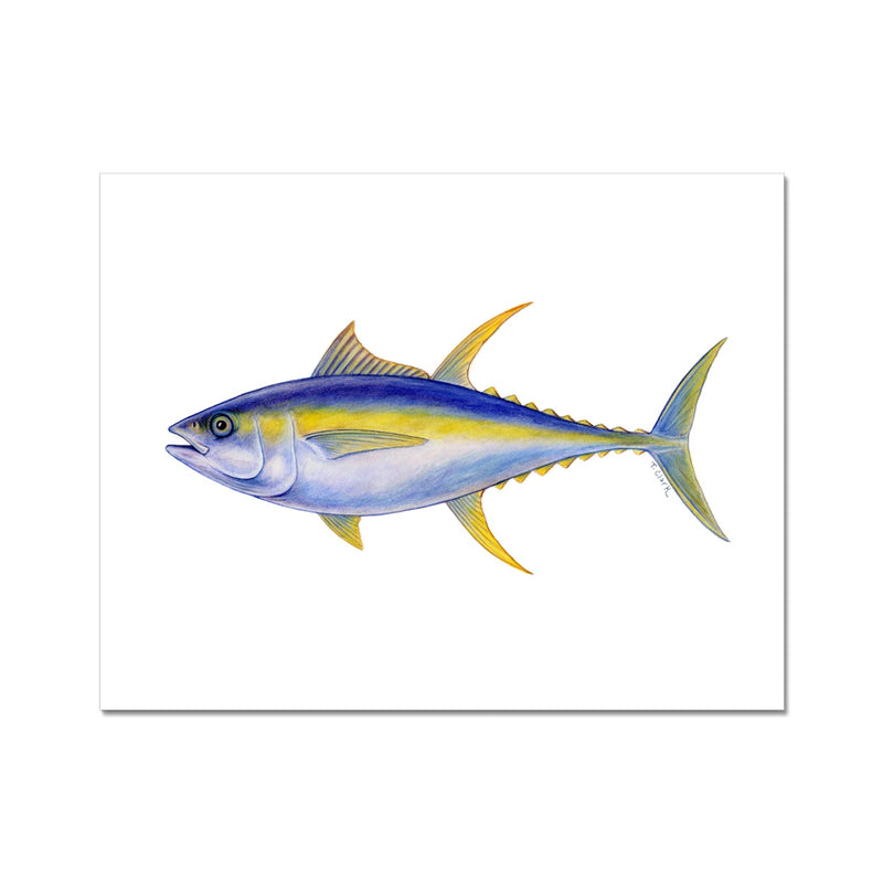 Yellowfin Tuna Hahnemühle German Etching Print