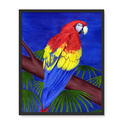 Scarlet Red Macaw Framed Photo Tile