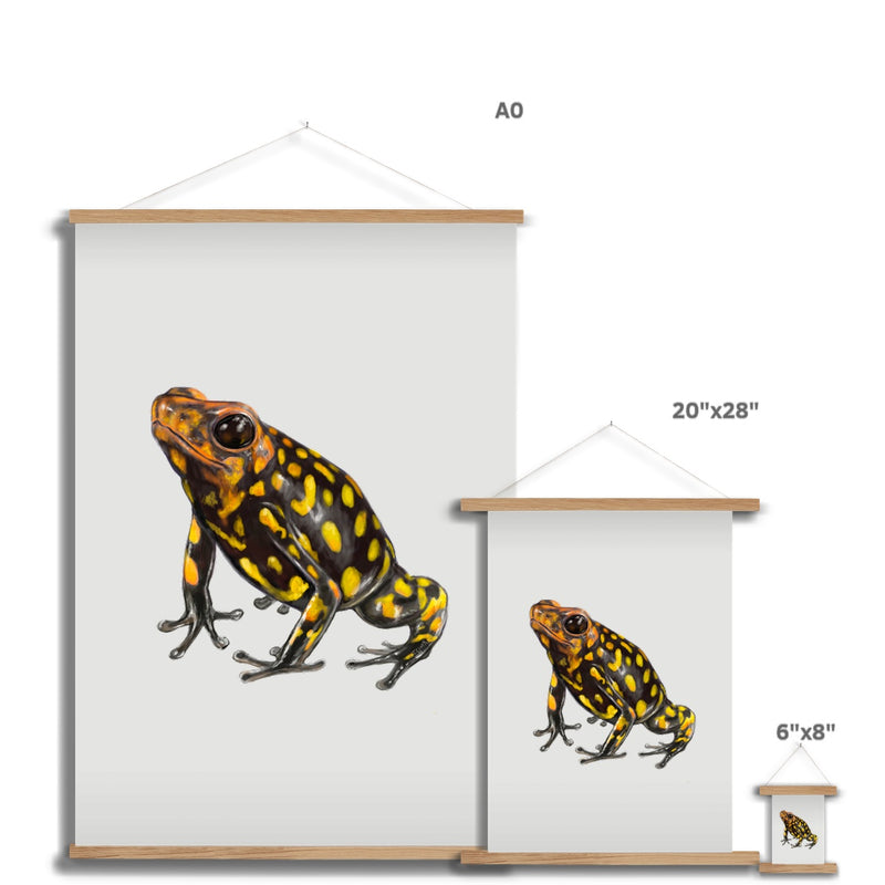 Harlequin poison frog Fine Art Print with Hanger