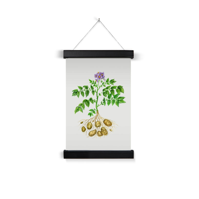 Potato  Fine Art Print with Hanger