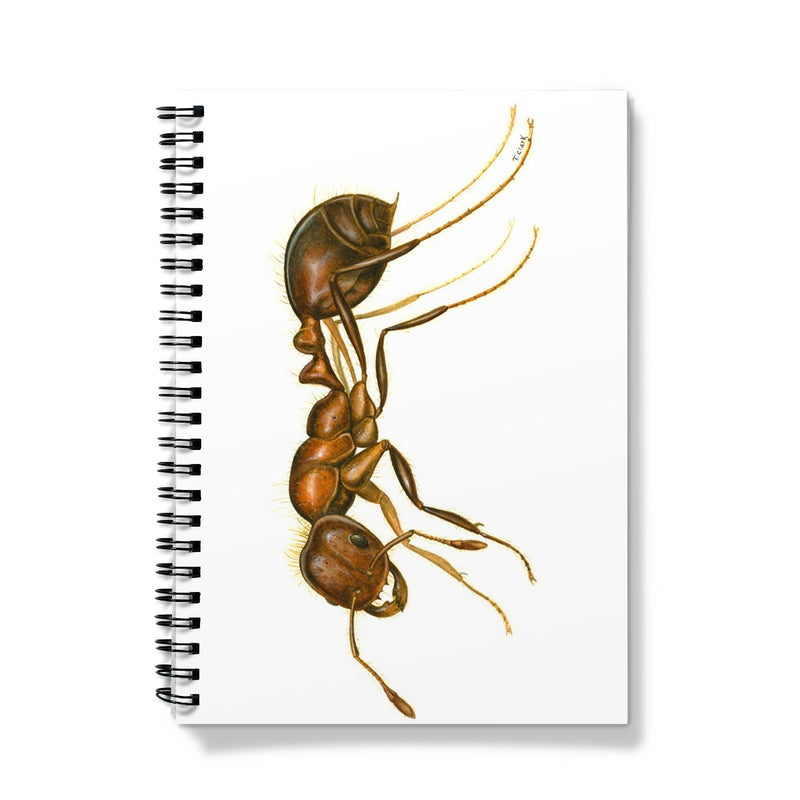 Fire Ant Notebook