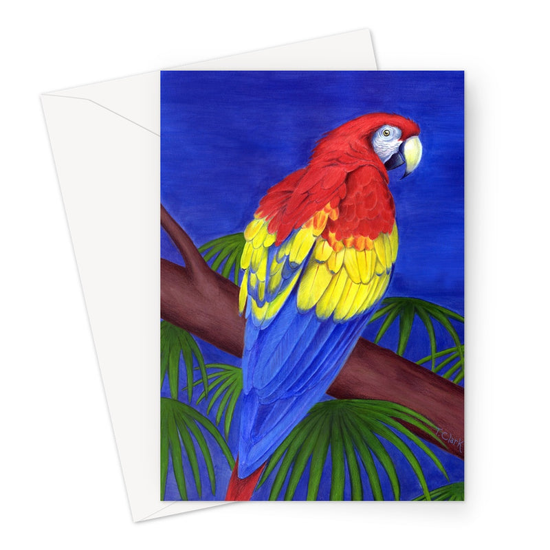 Scarlet Red Macaw Greeting Card
