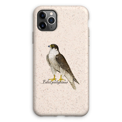 Peregrine Falcon Eco Phone Case