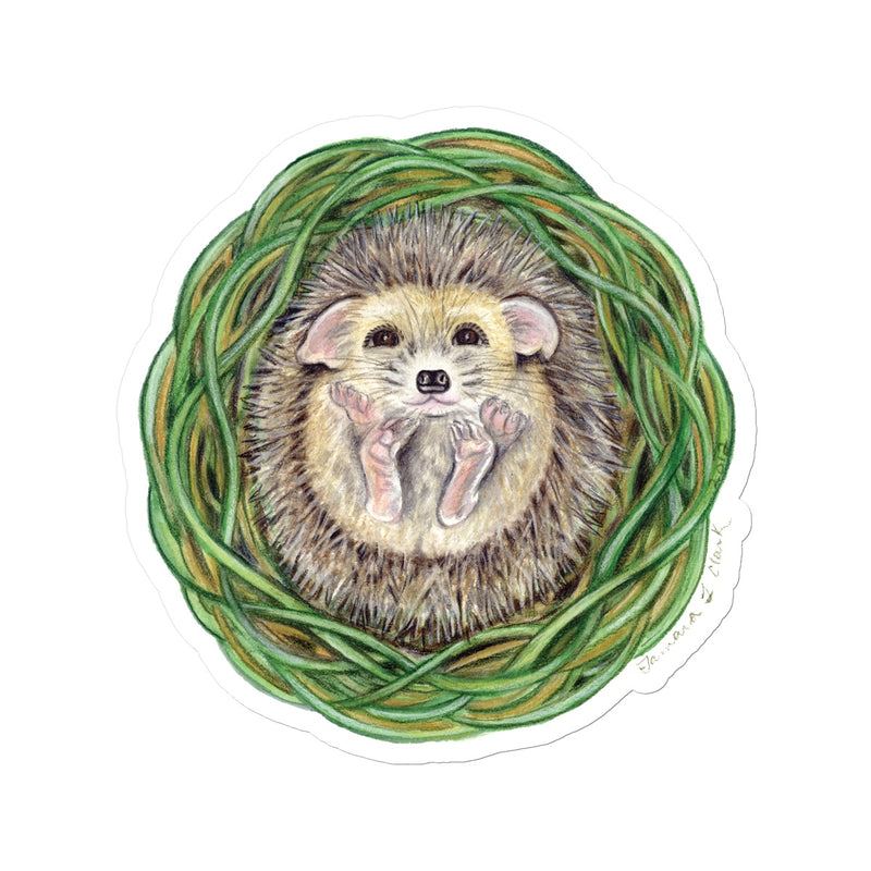 Hedgehog  Sticker
