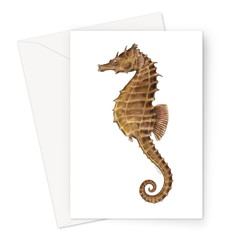 Northern Seahorse Greeting Card