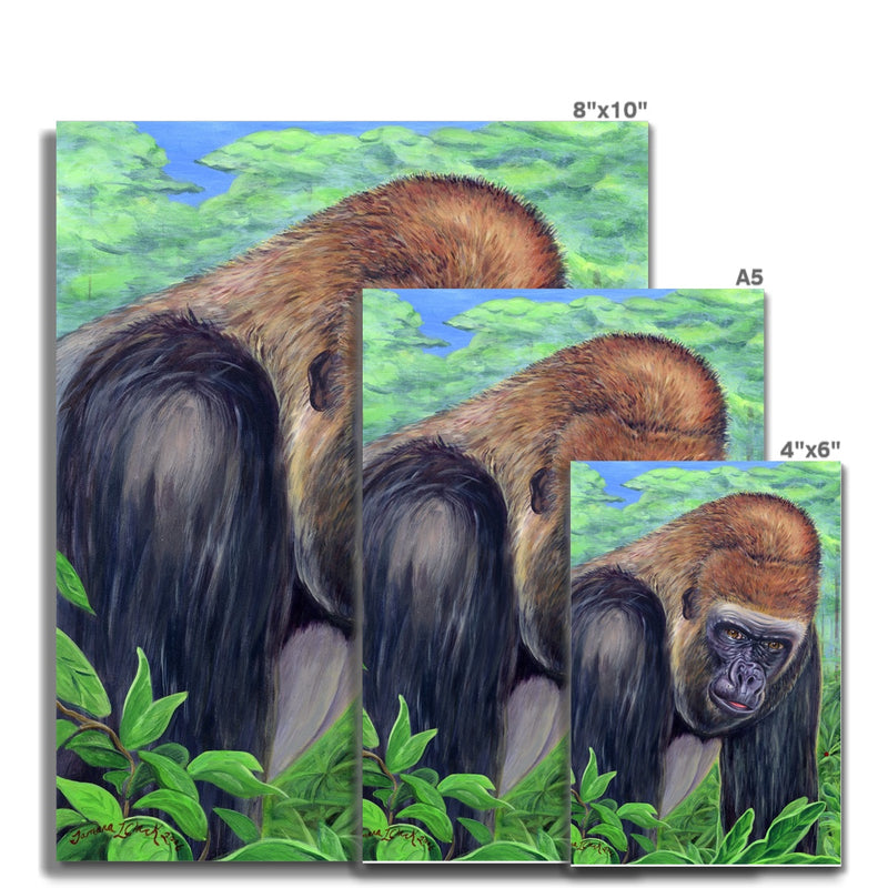 Gorilla gorilla  Fine Art Print