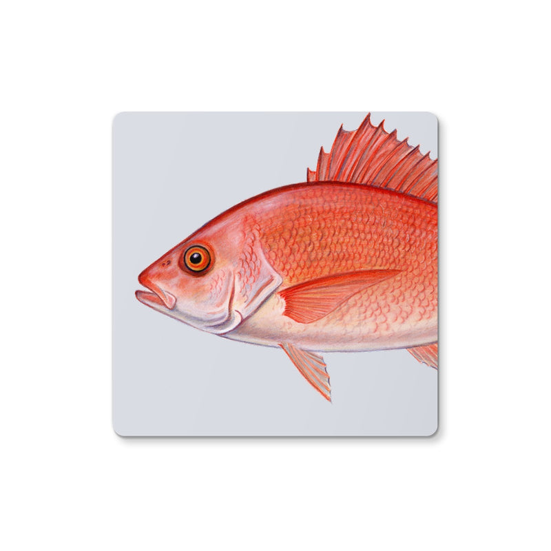 Red Snapper Coaster