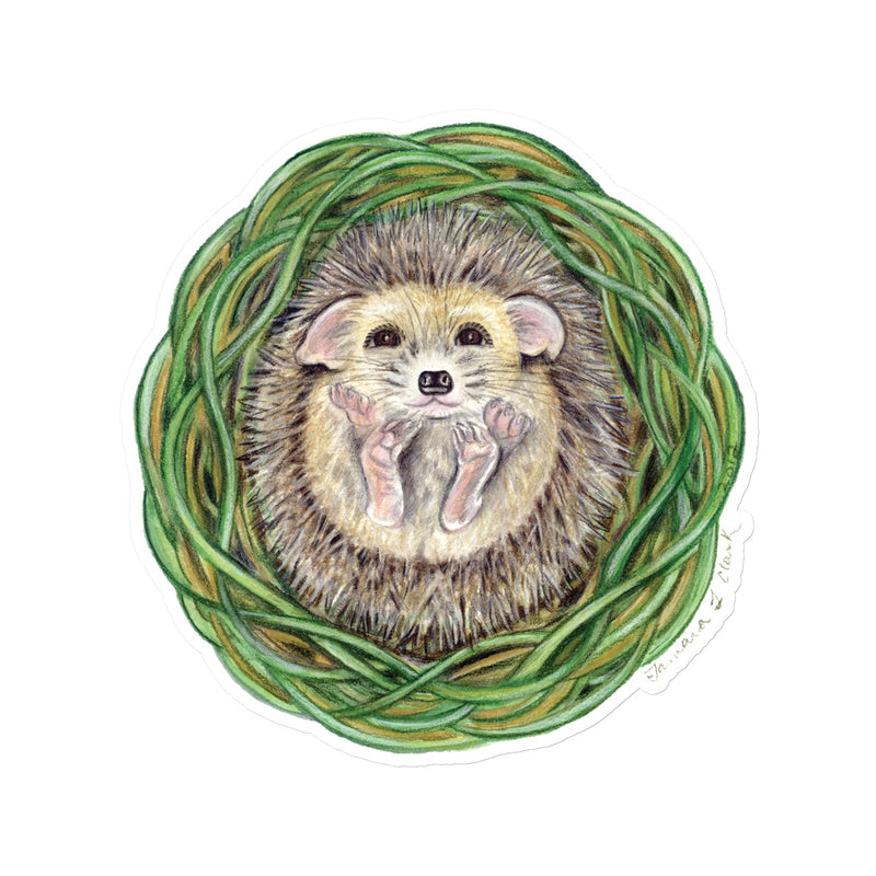 Hedgehog  Sticker