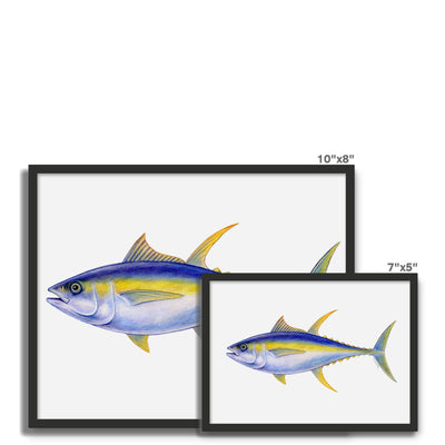 Yellowfin Tuna Framed Photo Tile