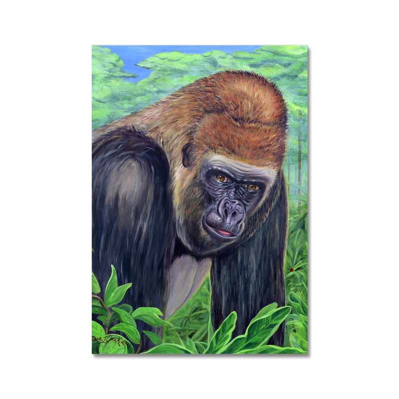 Gorilla gorilla  Hahnemühle German Etching Print
