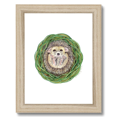 Hedgehog  Framed Print