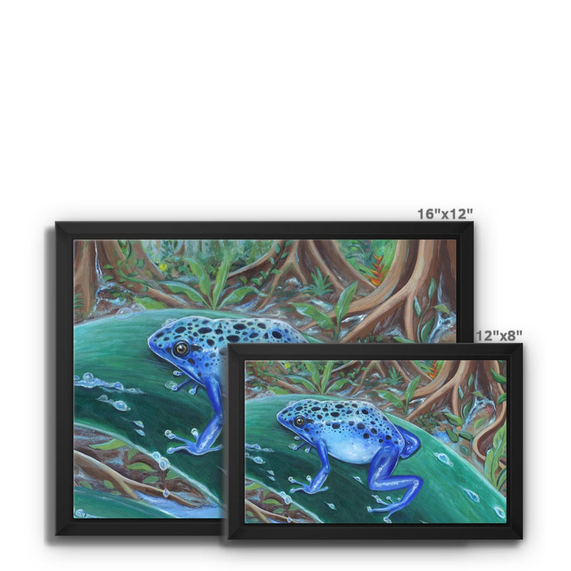 Blue Poison Dart Frog Framed Canvas