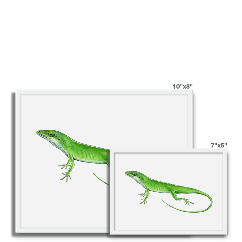 Green Anole Lizard Framed Photo Tile