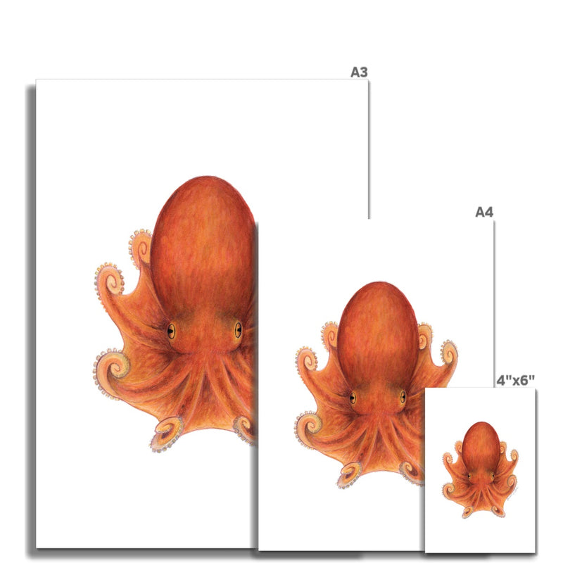 Northern Octopus Hahnemühle Photo Rag Print