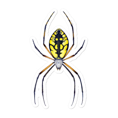 Argiope Spider Sticker