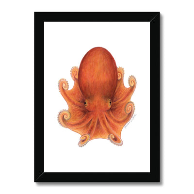 Northern Octopus Framed Print