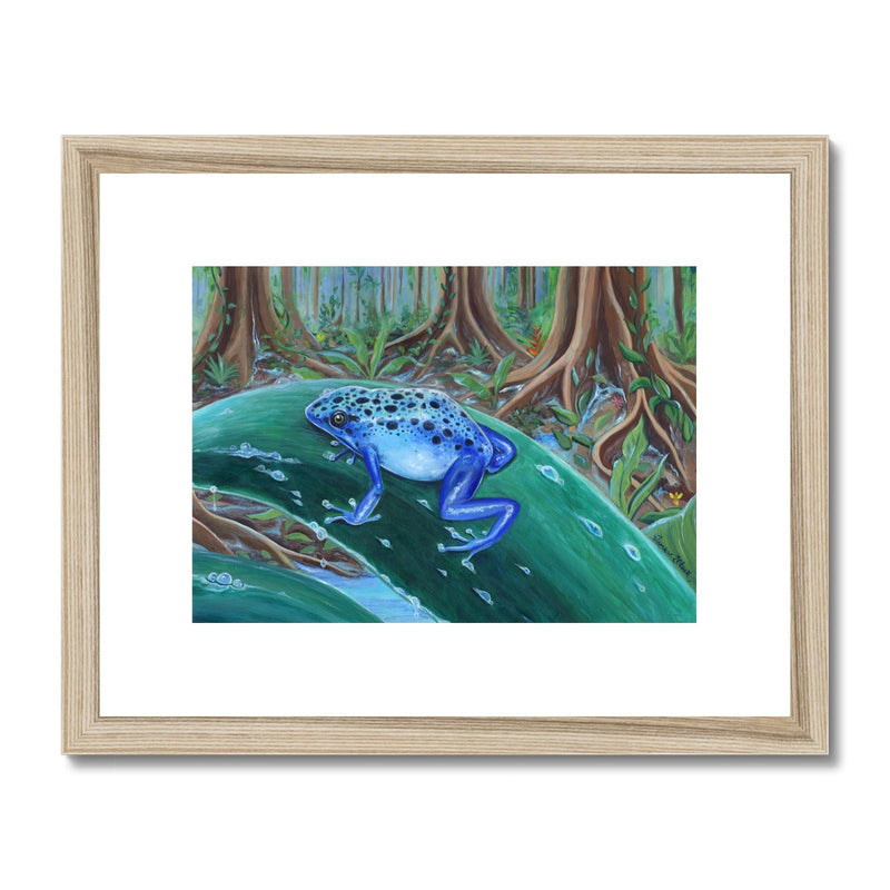 Blue Poison Dart Frog Framed & Mounted Print