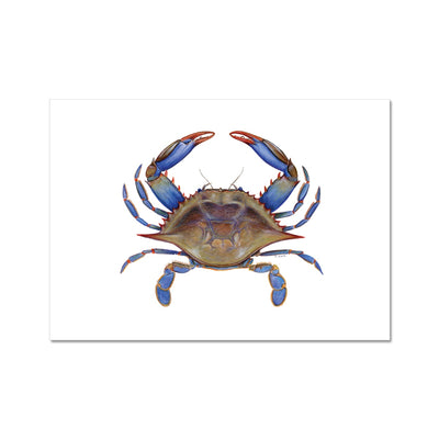 Blue Crab Hahnemühle German Etching Print