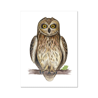 Short-eared Owl Hahnemühle German Etching Print