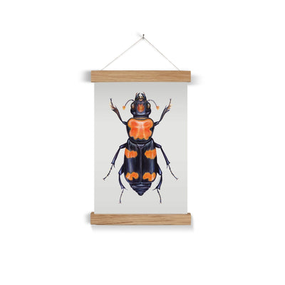 Burying Beetle Fine Art Print with Hanger