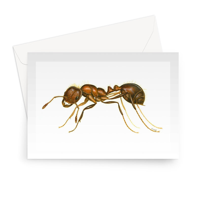 Fire Ant Greeting Card