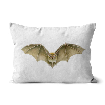 Daubenten's Bat Cushion