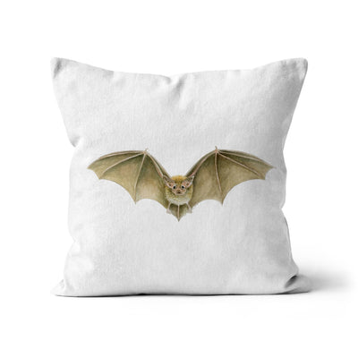 Daubenten's Bat Cushion