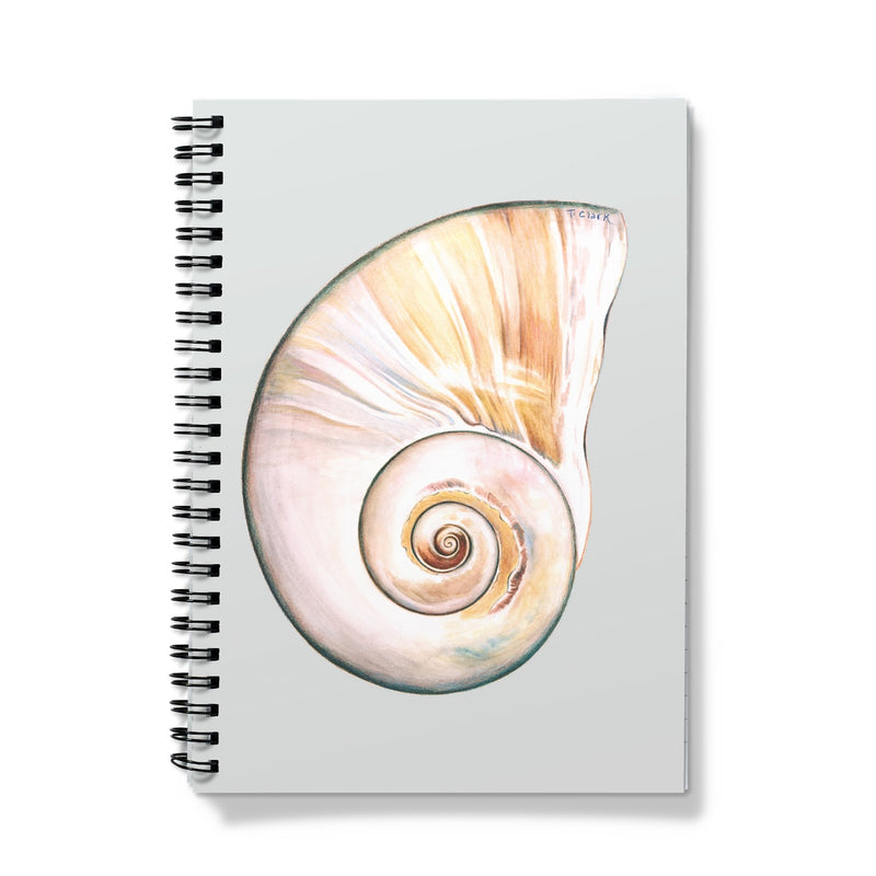 Northern Moonsnail Notebook