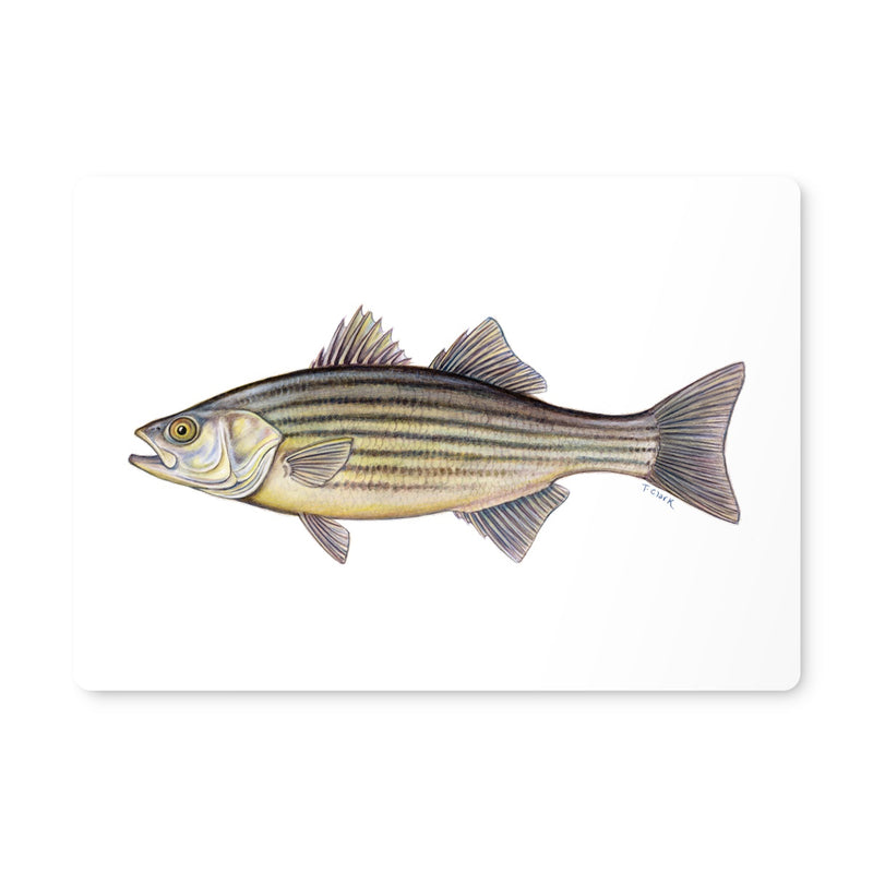 Striped Bass Placemat