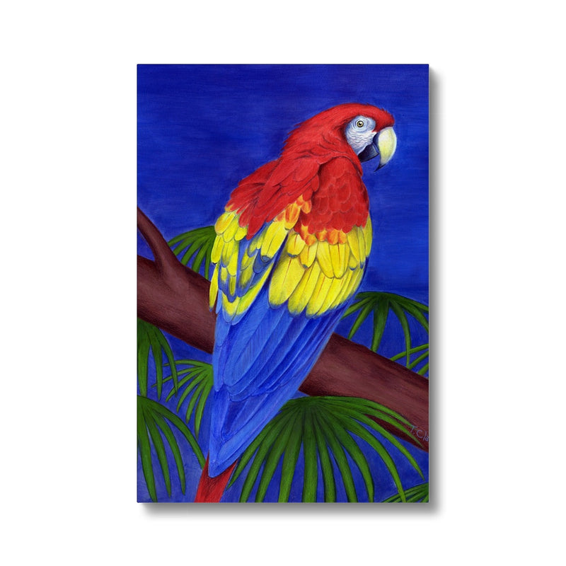 Scarlet Red Macaw Canvas